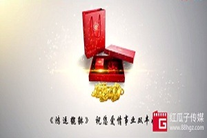 红瓜子文化传媒-鸿运貔貅产品微电影